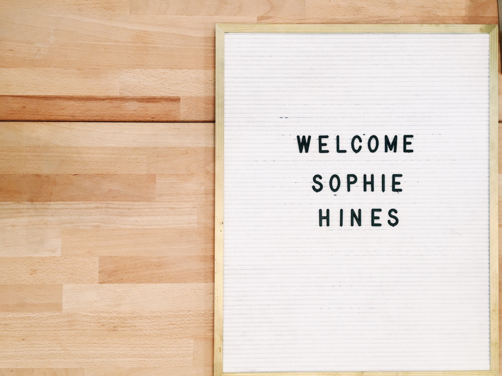 Sophie Hines Lingerie Sewing Class