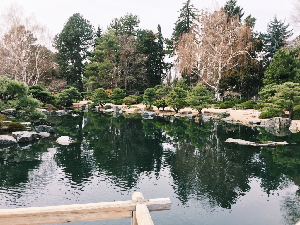 Denver Botanical Garden Succulent Show